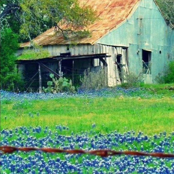 Iβm Jo ππΉ @jhp511 Always & Forever. Please read! - Picture 5 of 6